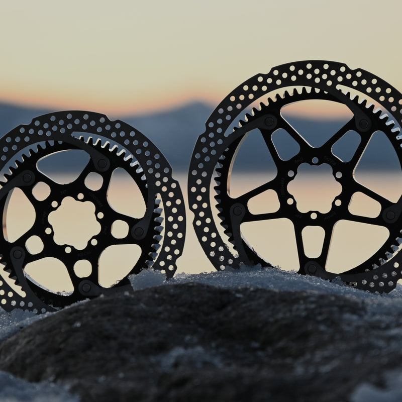 Elevate Ebike Rotor Gear