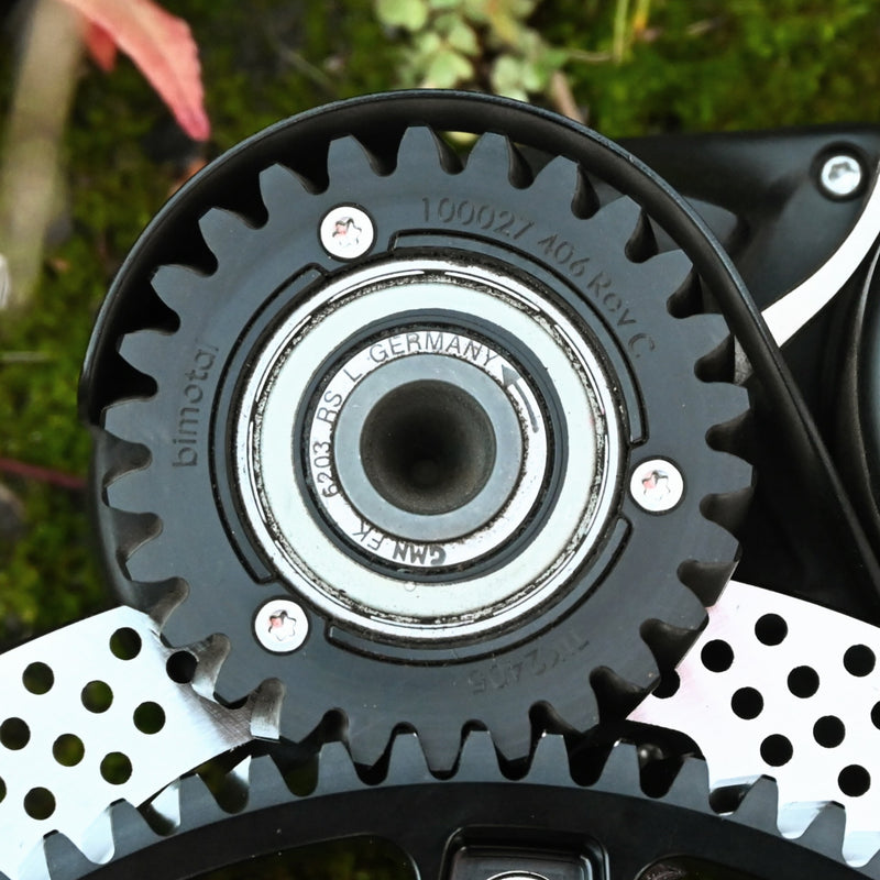 Elevate Ebike Output Gear